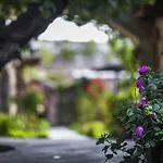 Dervish Cave House & Restaurant 3*