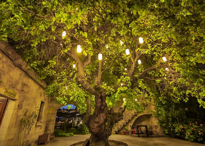 Hotel Dervish Cave House & Restaurant Göreme